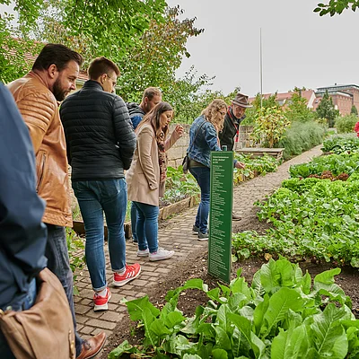 Innerstädtischer Erwerbsgartenbau in Bamberg