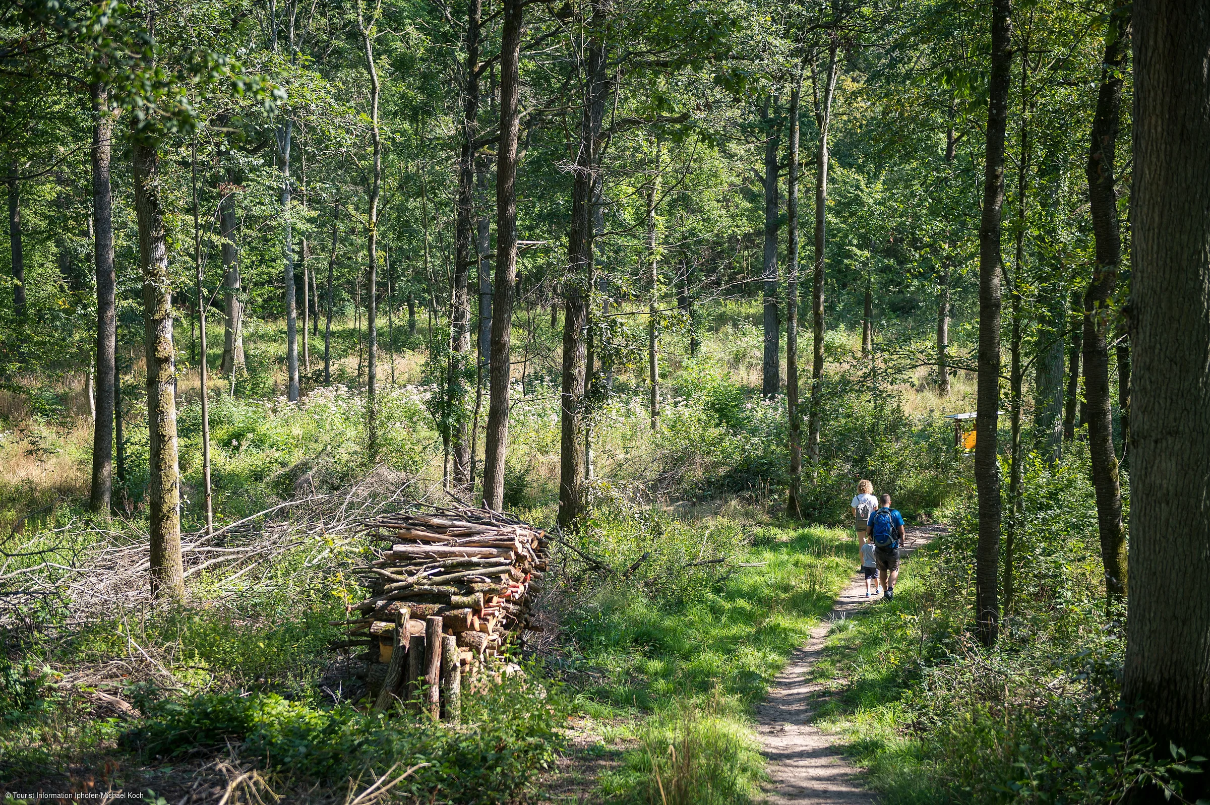 Gemeinschaftswälder