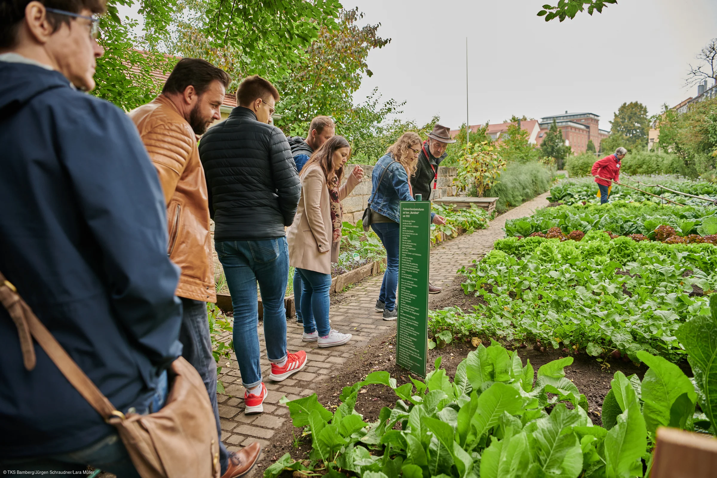 Innerstädtischer Erwerbsgartenbau in Bamberg