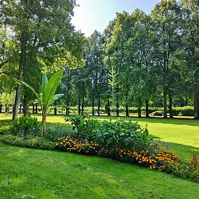 Kurpark in Bad Mergentheim
