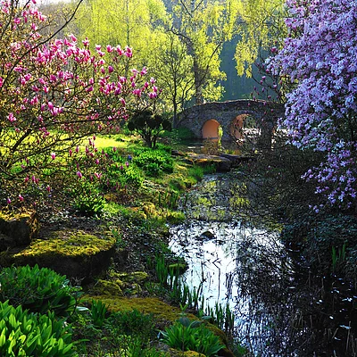 Schlosspark Dennenlohe