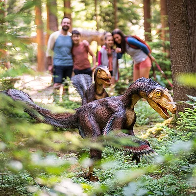Dinosaurier Museum Altmühltal