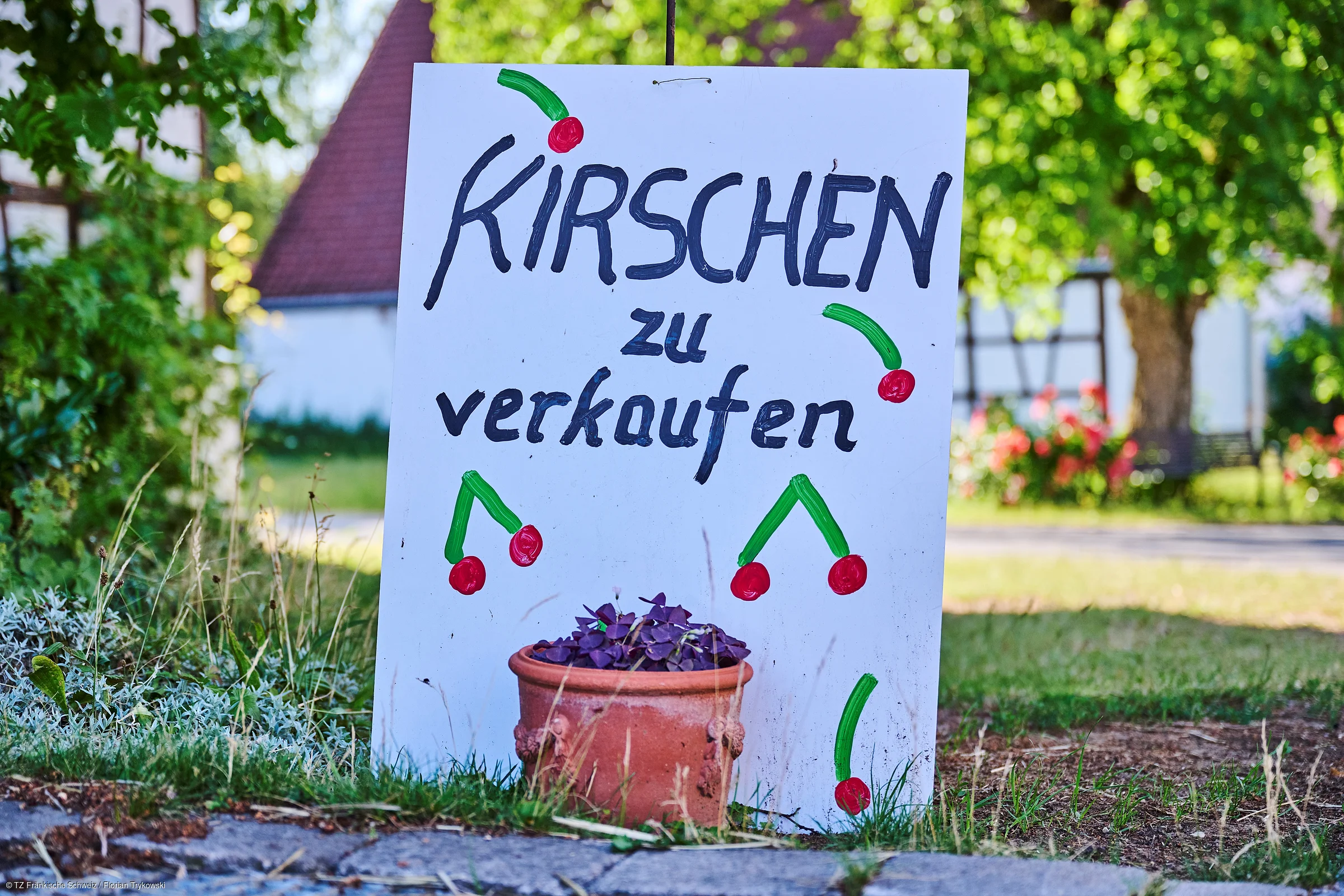 Kirschenverkauf in Gräfenberg in der Fränkischen Schweiz