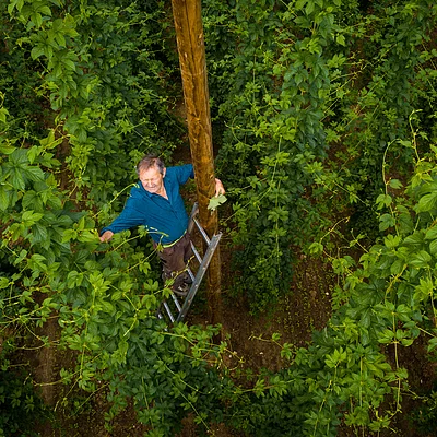 Hopfenbauer bei Speikern