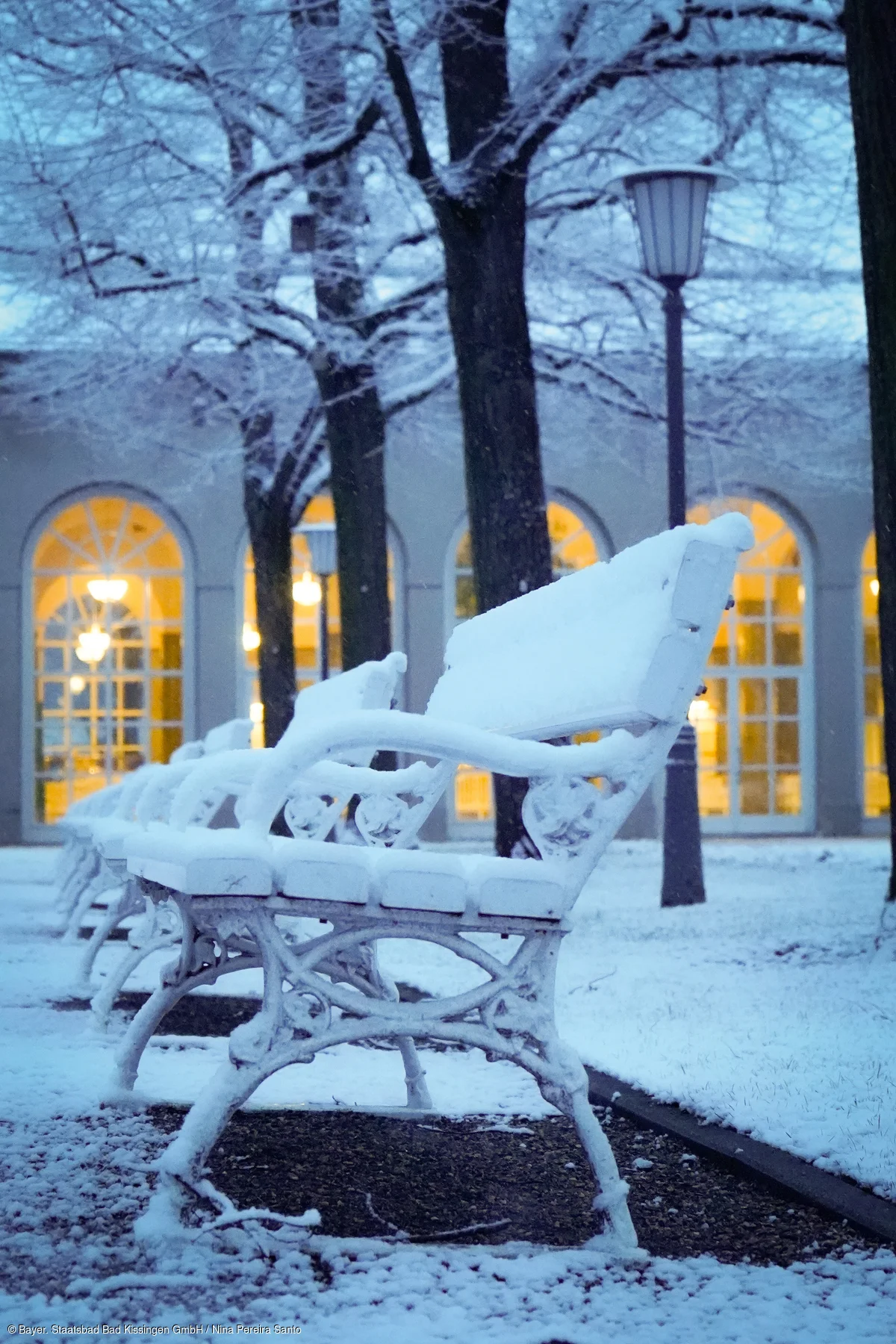 Schneelandschaft