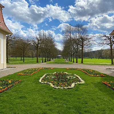 Gebäude links und rechts. Dazwischen eine Wiese mit Blumenrabatten, im Hintergrund eine Allee.