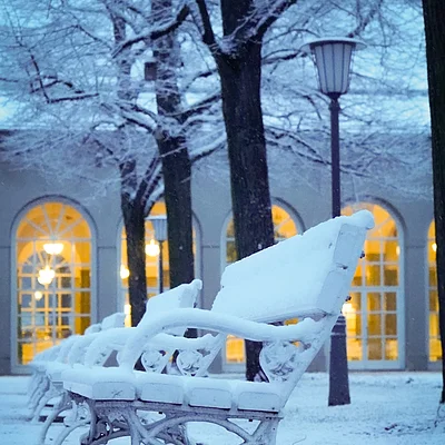 Schneelandschaft