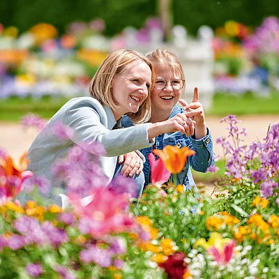 Blumenpracht im Hofgarten