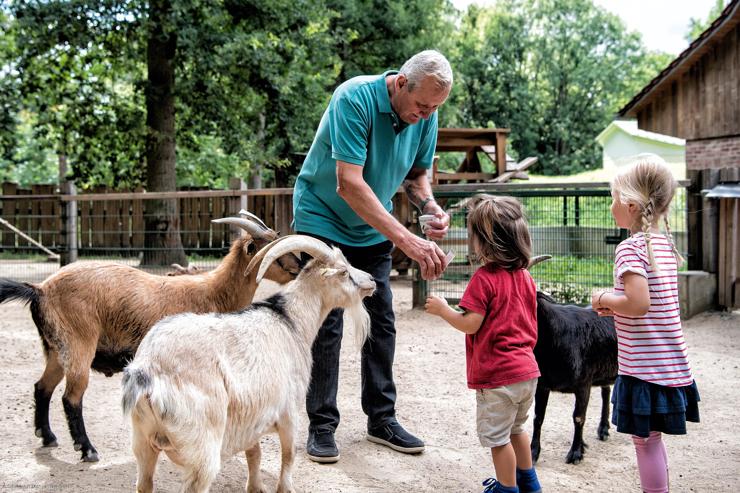 Familienspaß - Wildpark