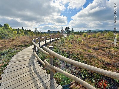 Schwarzes Moor (Fladungen, Rhön) Schwarzes Moor