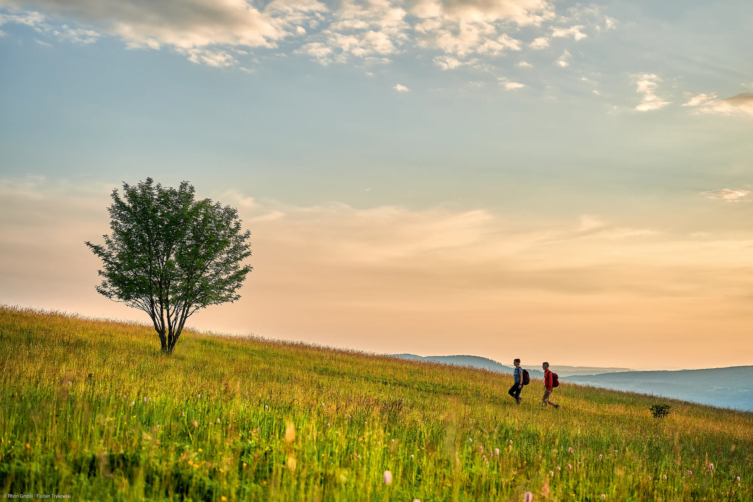 Zwei Personen wandern auf einem grasbewachsenen Hügel mit einem einzelnen Baum unter bewölktem Himmel.