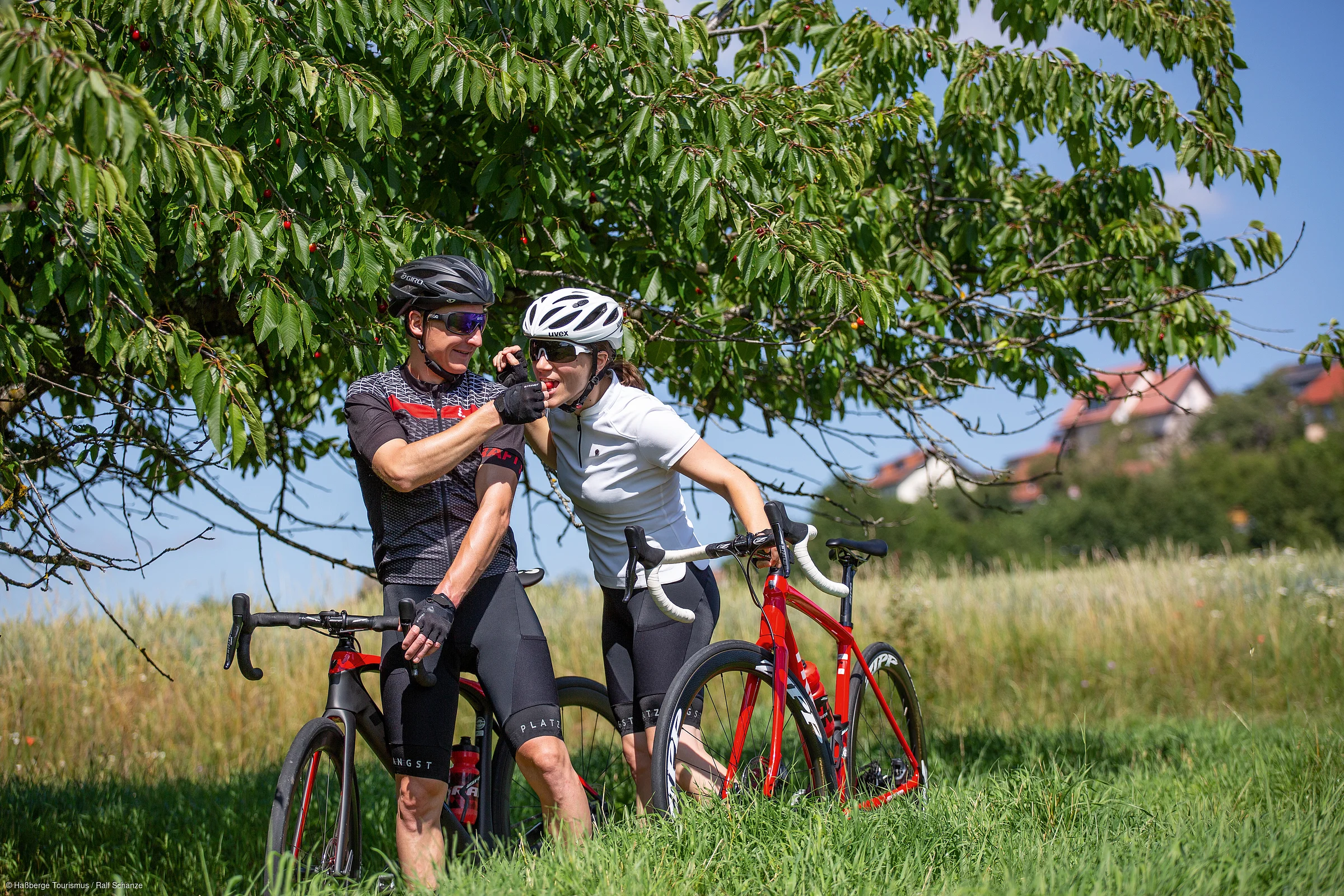 Zwei Radfahrer mit Helmen stehen mit ihren Fahrrädern unter einem Kirschbaum auf einer Wiese.
