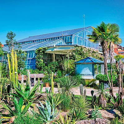 Botanischer Garten mit verschiedenen Kakteen und Sukkulenten vor einem großen Gewächshaus unter blauem Himmel.