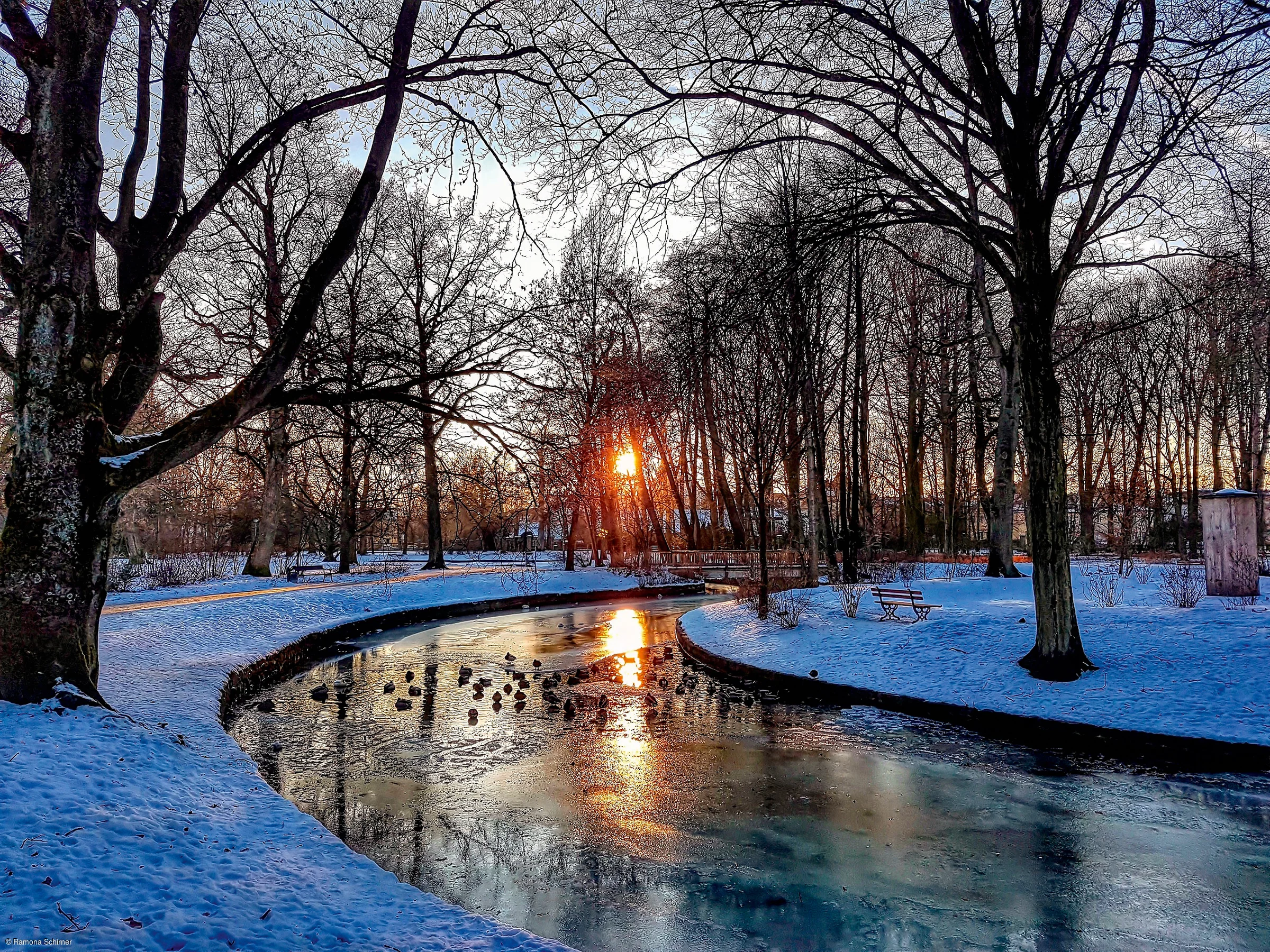 Winterlicher Park mit schneebedecktem Boden, vereistem Bach und Sonnenuntergang hinter kahlen Bäumen