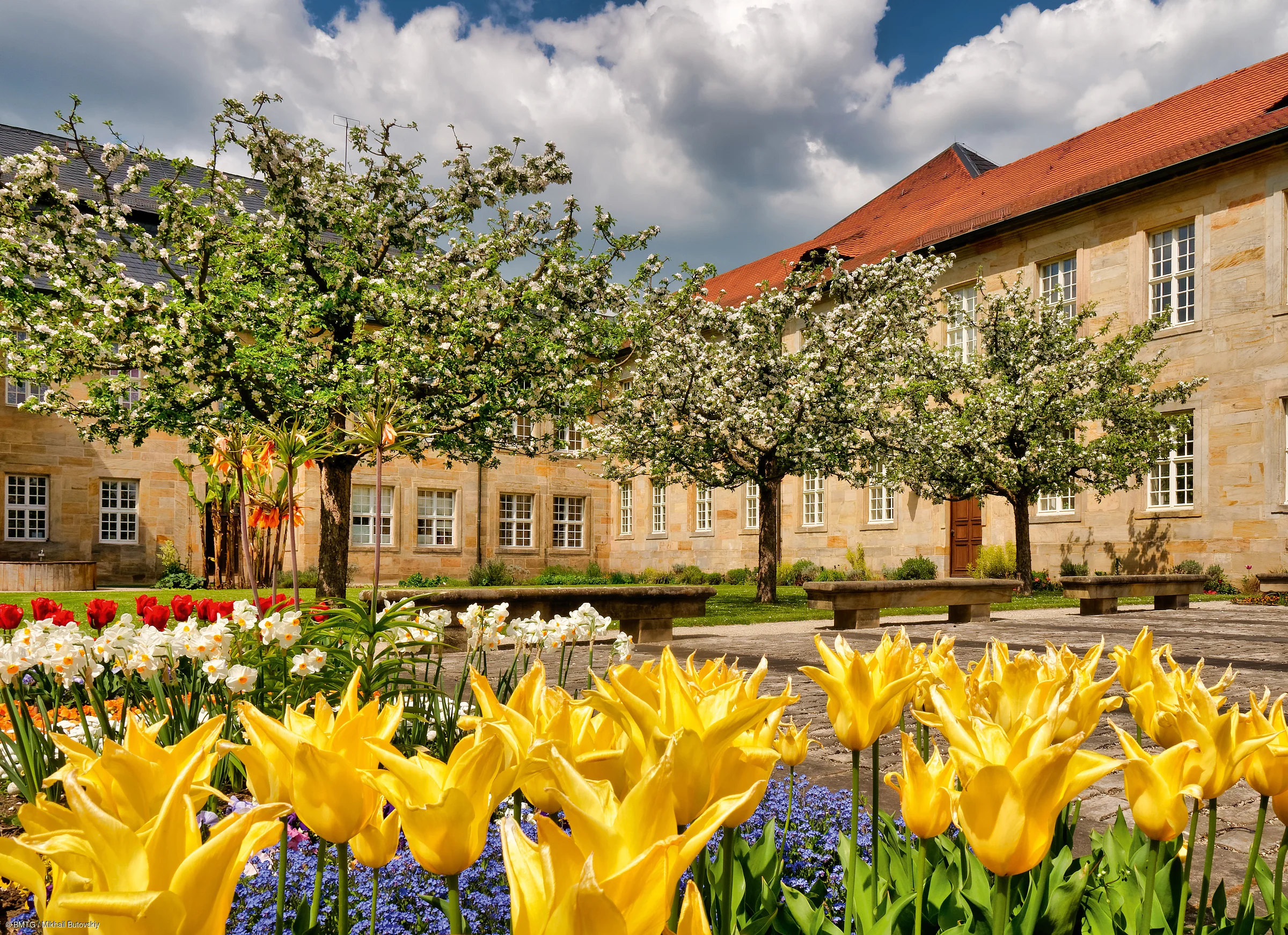 Blühende gelbe Tulpen und Obstbäume mit weißen Blüten in einem Innenhof mit Sandsteingebäuden.