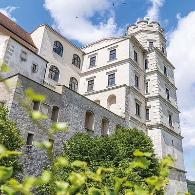 Blick von unten auf eine historische Burg mit weißen Mauern, Fenstern und grünem Bewuchs im Vordergrund.