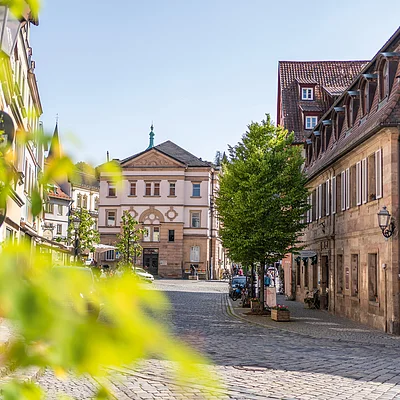 Altstadtstraße mit Kopfsteinpflaster, Bäumen und historischen Gebäuden bei klarem Himmel am Tag