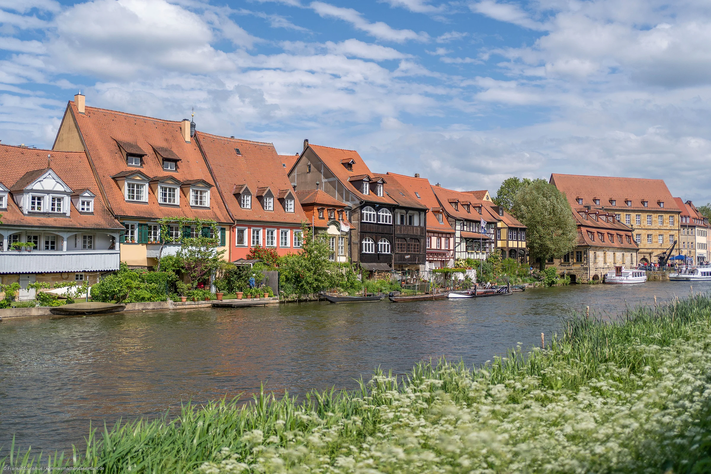 Flussufer mit grünen Pflanzen und historischen Fachwerkhäusern mit roten Dächern unter blauem Himmel.