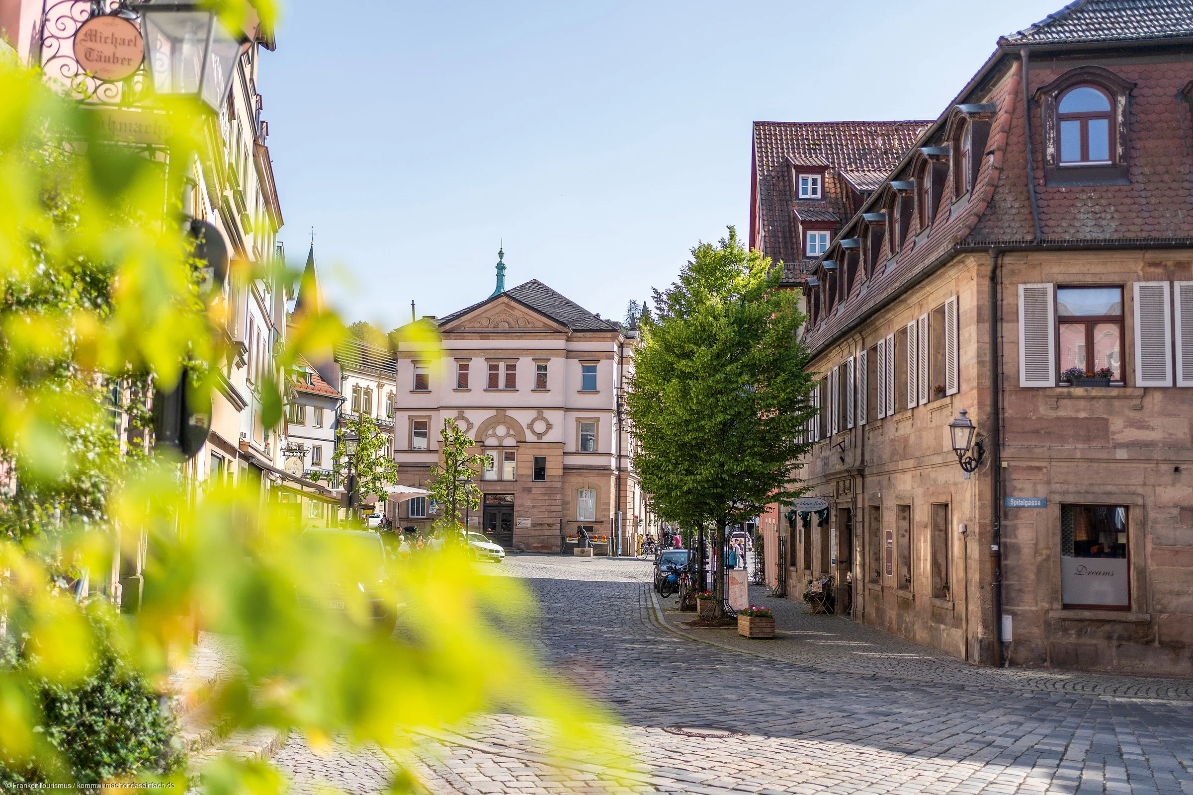 Altstadtstraße mit Kopfsteinpflaster, Bäumen und historischen Gebäuden bei klarem Himmel am Tag