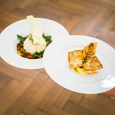 Zwei Teller mit Reis und Fisch, dekoriert mit Kräutern, auf einem Arm eines Kellners getragen.