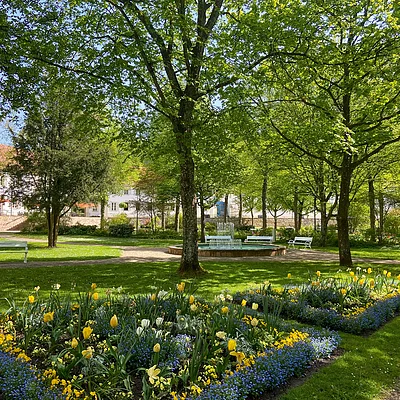 Park mit blühenden Blumenbeeten, Bäumen, Bänken und einem Springbrunnen bei Sonnenschein