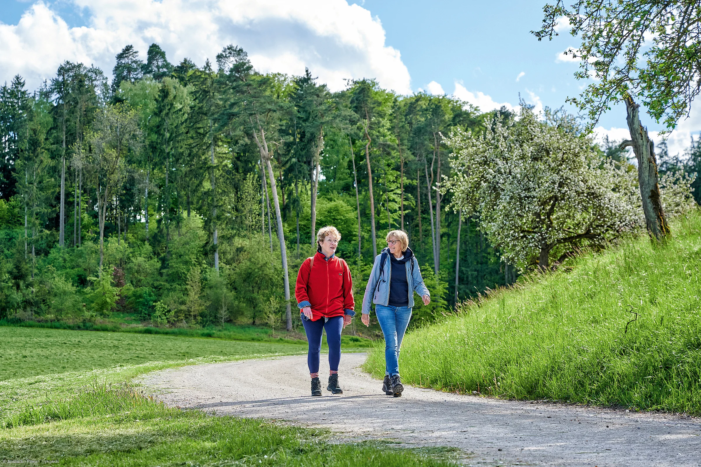 Zwei Frauen wandern auf einem Waldweg, umgeben von grünen Wiesen und Bäumen bei Tageslicht.