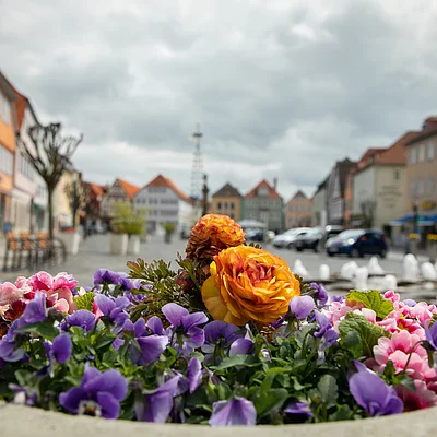 Blumen in einem Steinblumenkübel vor einem Platz mit Fachwerkhäusern und Autos bei bewölktem Himmel.