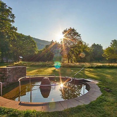 Kleiner runder Brunnen mit Wasser und Metallgeländer auf einer Wiese bei Sonnenuntergang im Wald.