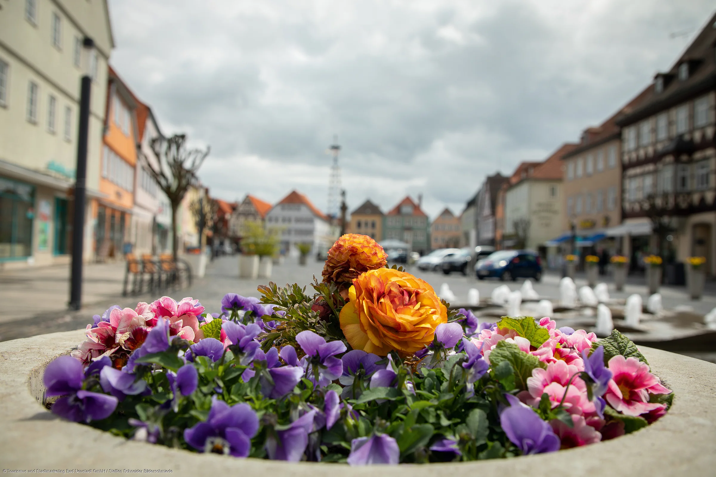 Blumen in einem Steinblumenkübel vor einem Platz mit Fachwerkhäusern und Autos bei bewölktem Himmel.