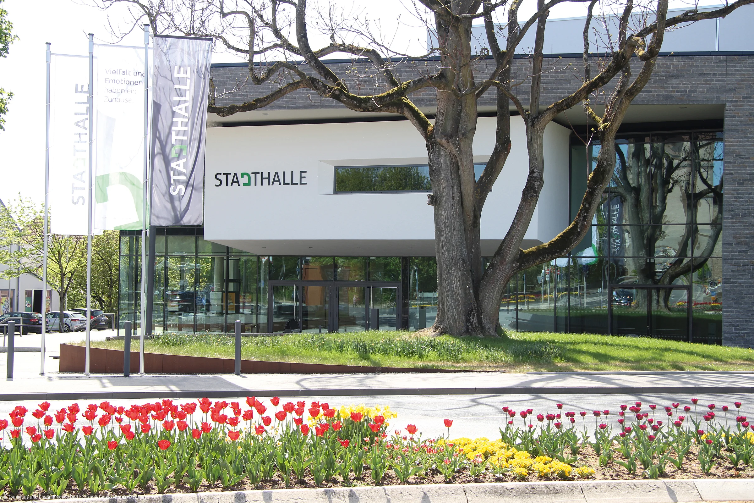 Eingang der Stadthalle mit Fahnen, Baum und Blumenbeeten im Vordergrund bei Tageslicht.