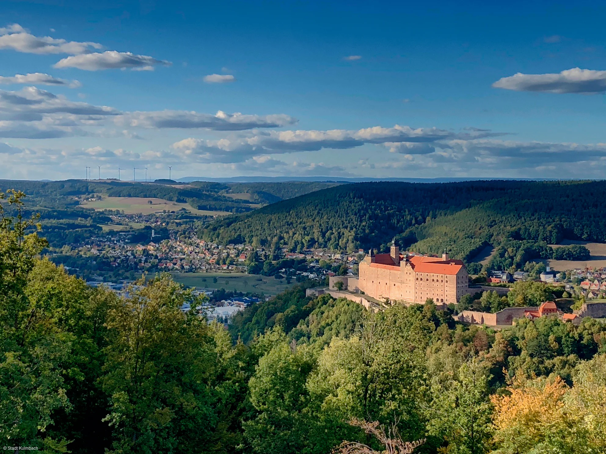 Blick auf bewaldete Hügel, ein Schloss mit roten Dächern und eine Stadt im Tal unter blauem Himmel mit Wolken.