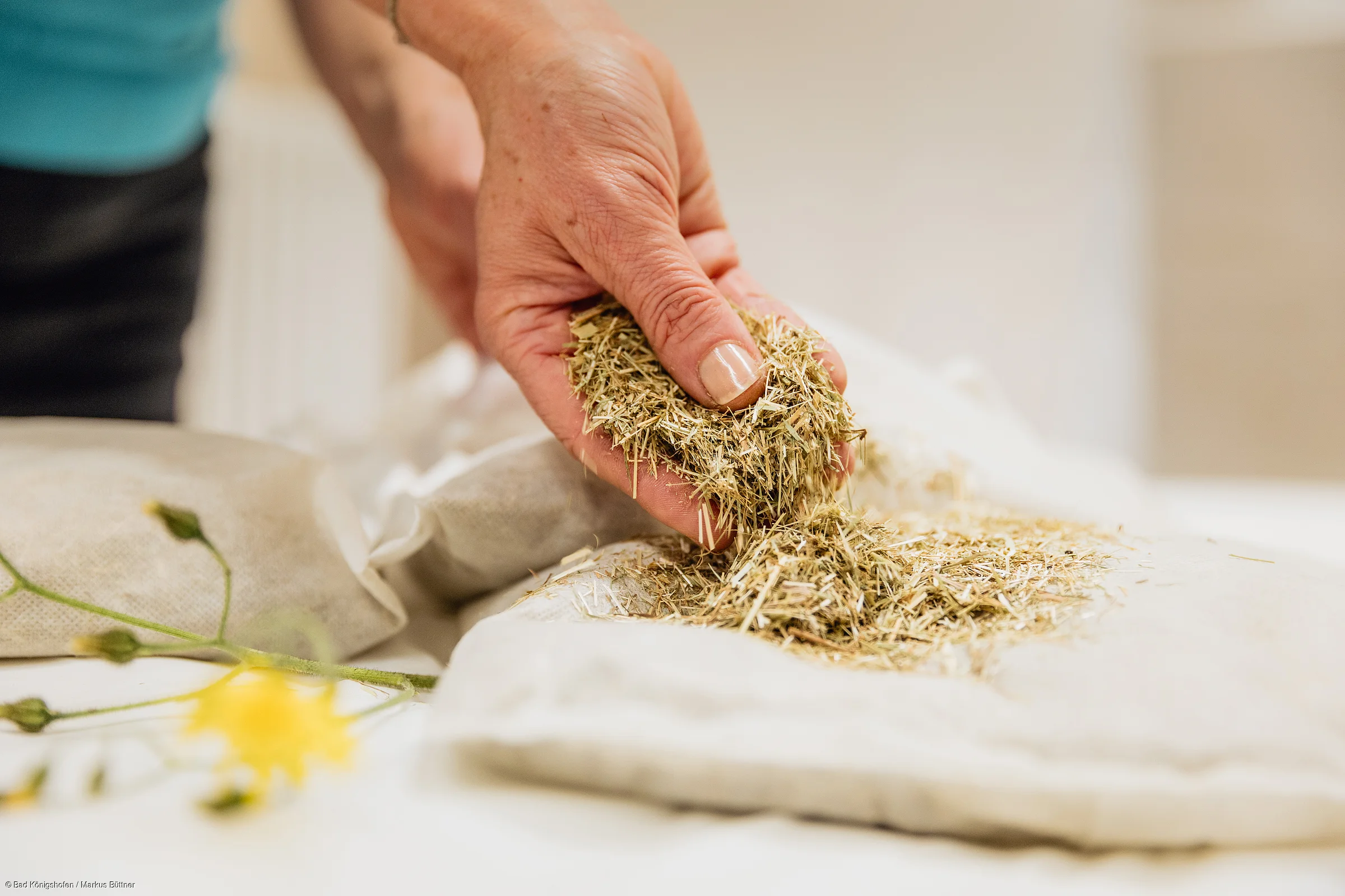Hand hält getrocknete Kräuter über einem Stoffbeutel, gelbe Blume liegt daneben auf weißer Oberfläche.