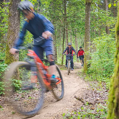 Drei Radfahrer fahren auf einem Waldweg, vorne unscharf und in Bewegung, hinten zwei weitere in Schutzkleidung.