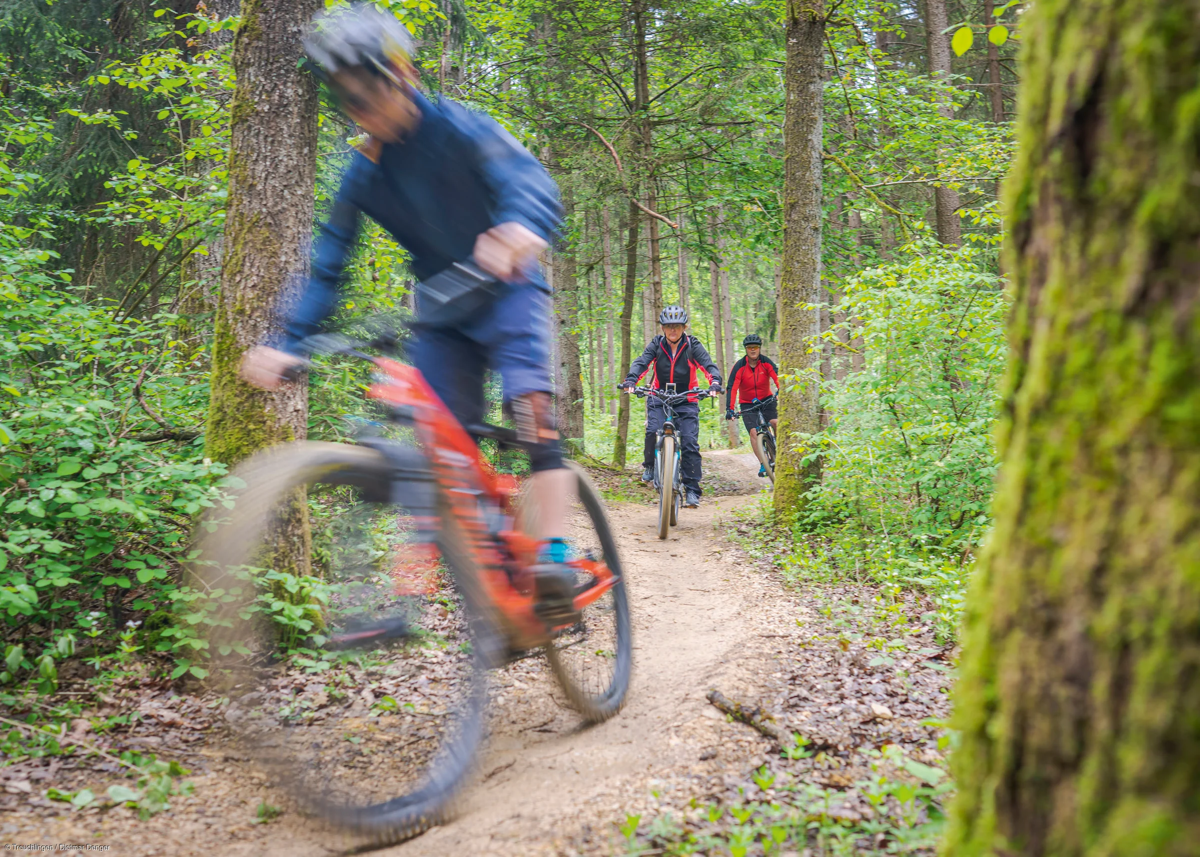 Drei Radfahrer fahren auf einem Waldweg, vorne unscharf und in Bewegung, hinten zwei weitere in Schutzkleidung.