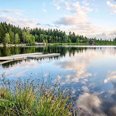 Seeufer mit Steg, Wald im Hintergrund und Wolken spiegeln sich im ruhigen Wasser eines Sees.