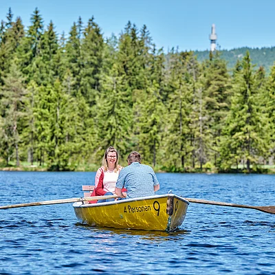 Zwei Personen sitzen in einem gelben Ruderboot auf einem See vor einem bewaldeten Ufer.