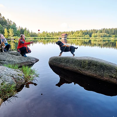 Zwei Personen mit zwei Hunden an einem See, eine Person wirft Ball zu Hund auf Felsen im Wasser.