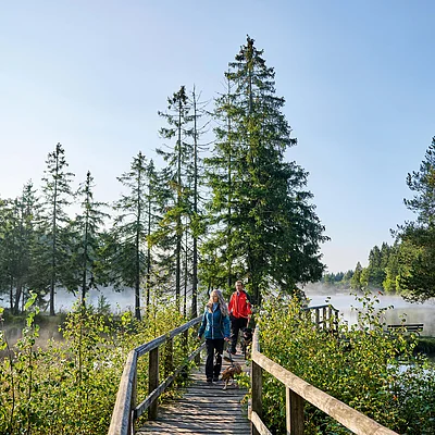 Zwei Personen gehen mit Hunden auf einem Holzsteg durch einen bewaldeten Bereich an einem nebligen See.