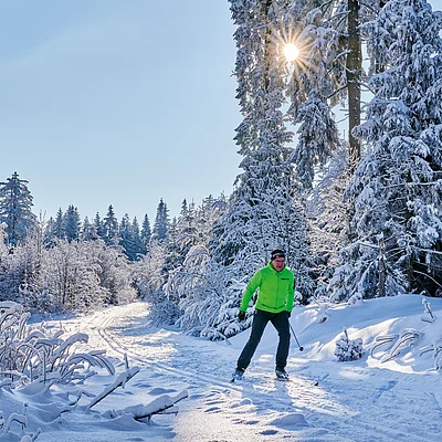 Person beim Skilanglauf auf verschneitem Waldweg bei Sonnenschein und blauem Himmel