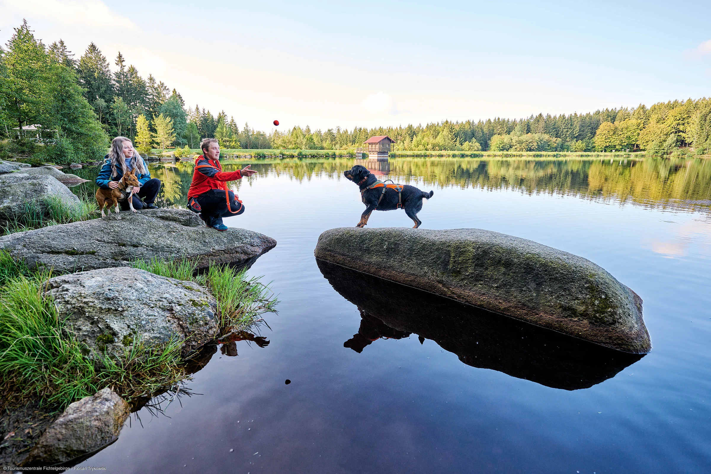 Zwei Personen mit zwei Hunden an einem See, eine Person wirft Ball zu Hund auf Felsen im Wasser.