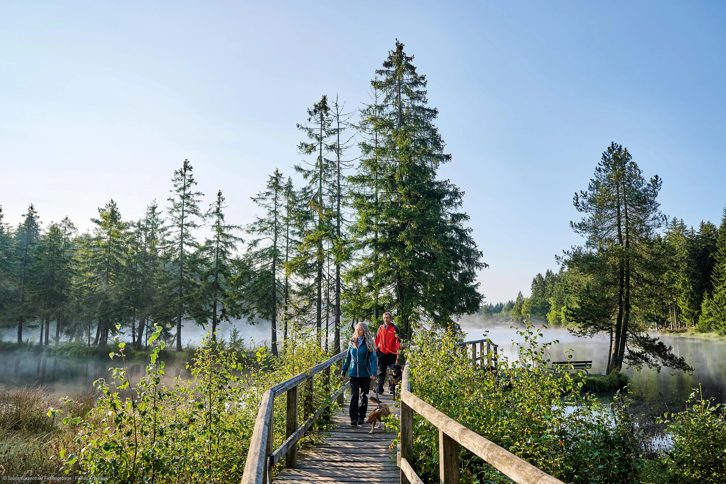 Zwei Personen gehen mit Hunden auf einem Holzsteg durch einen bewaldeten Bereich an einem nebligen See.