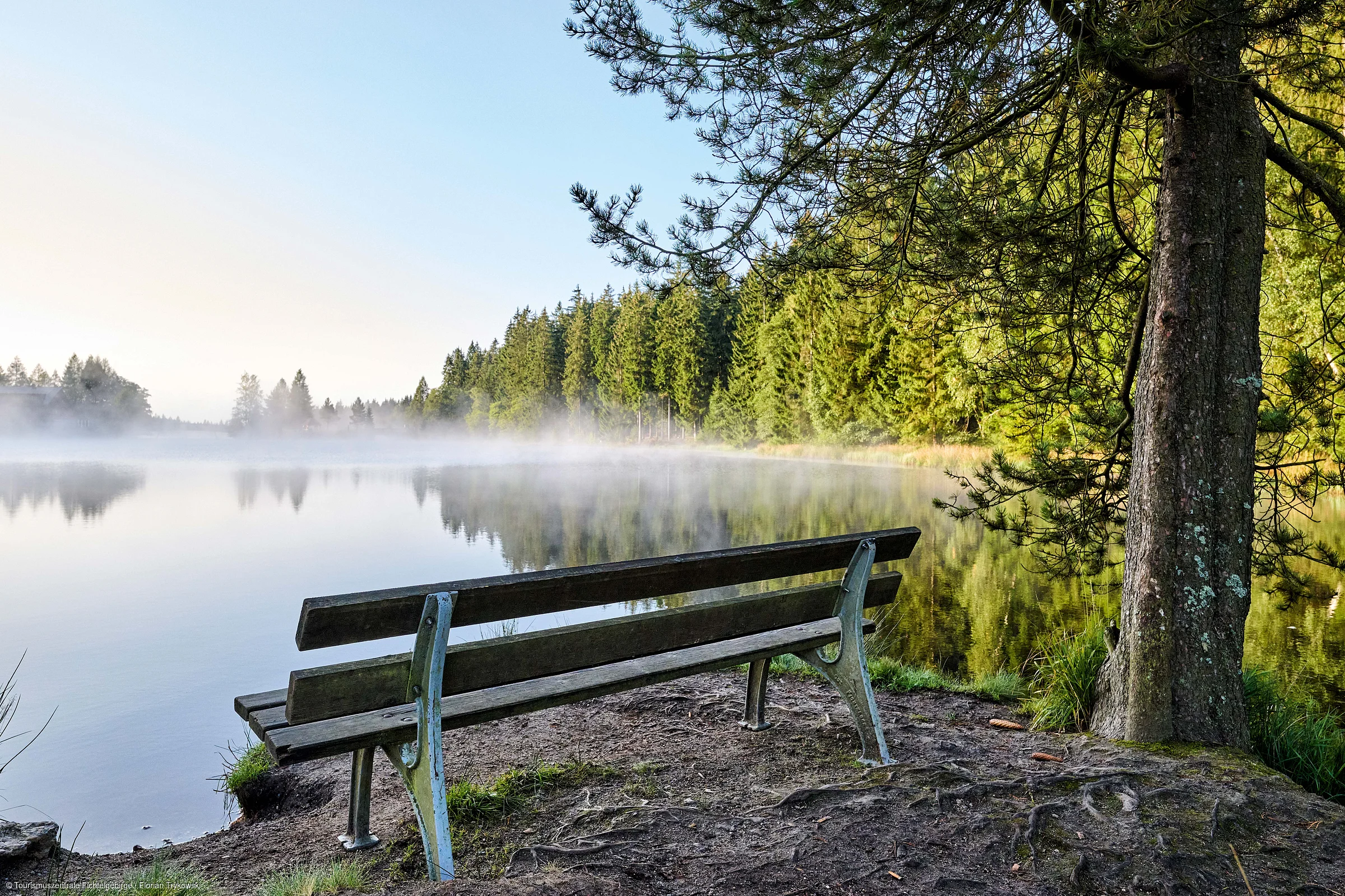 Bank am Ufer eines nebligen Sees mit Wald im Hintergrund und Baum rechts im Bild