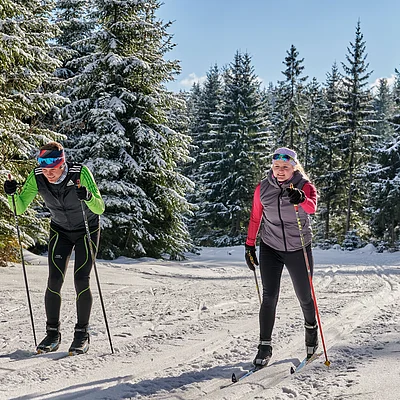 Zwei Personen beim Langlaufen auf verschneiter Waldloipe bei Sonnenschein und blauem Himmel.