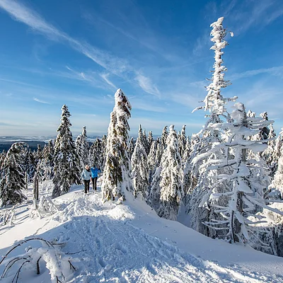 Winterlandschaft mit verschneiten Bäumen und zwei Personen beim Wandern auf einem Pfad im Schnee