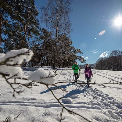 Zwei Personen wandern im Schnee unter einem klaren blauen Himmel, Sonnenlicht scheint. Schneebedeckte Äste im Vordergrund.