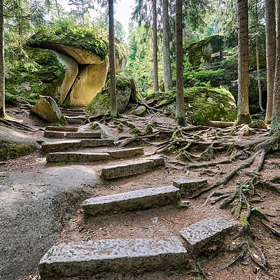 Waldweg mit steinernen Stufen, umgeben von Bäumen, Wurzeln und moosbedeckten Felsen.