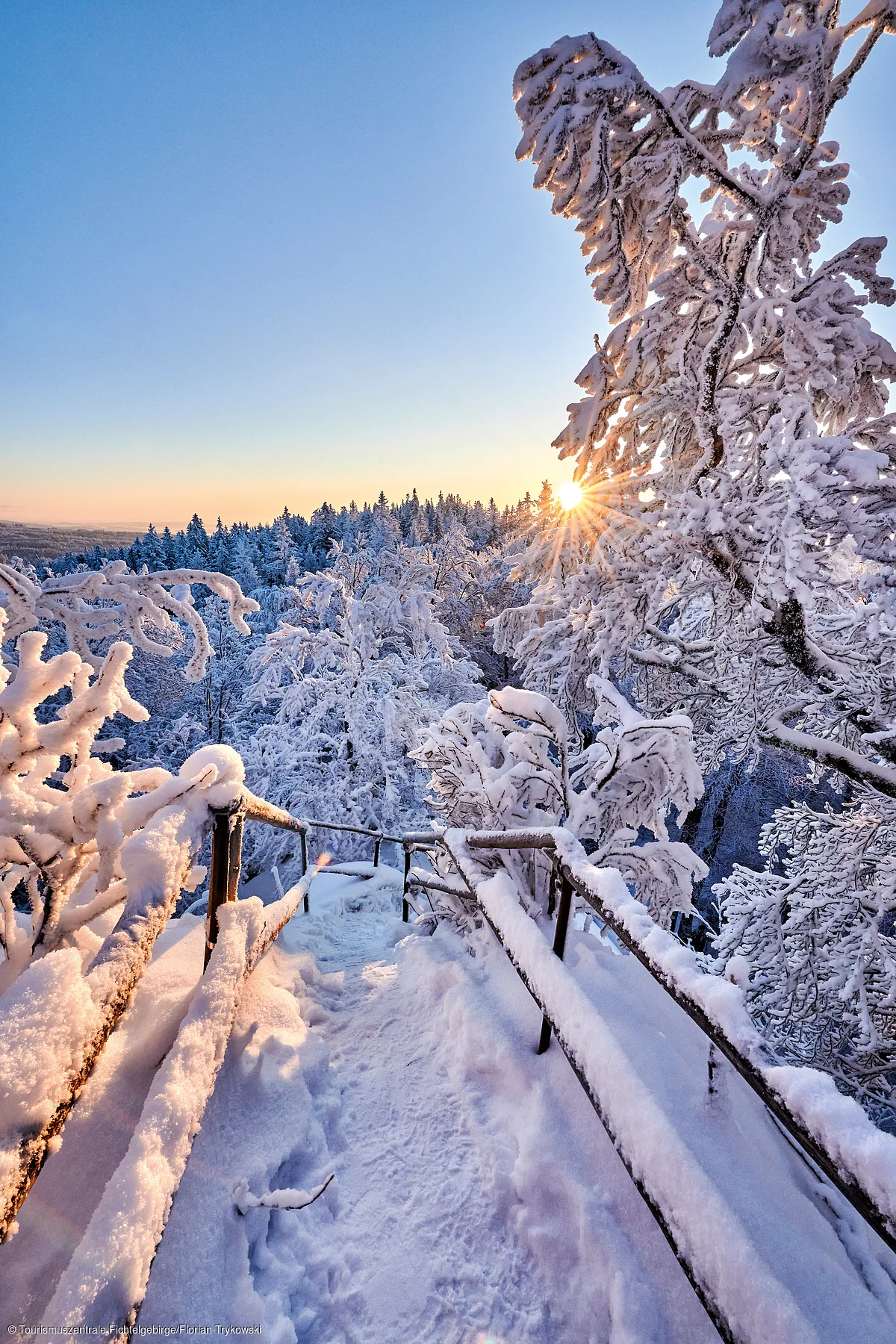 Verschneiter Weg mit Geländer im Winterwald bei Sonnenuntergang und klarem Himmel.