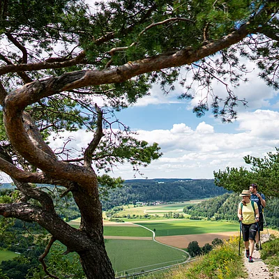 Zwei Wanderer mit Stöcken auf einem Pfad mit Blick auf grüne Felder und bewaldete Hügel unter bewölktem Himmel.