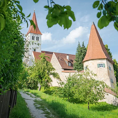 Weg führt an Bäumen vorbei zu historischen Gebäuden mit roten Dächern und Kirchturm unter blauem Himmel