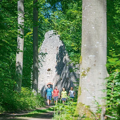 Vier Personen wandern auf Waldweg vor einer alten Steinruine, umgeben von grünen Bäumen.